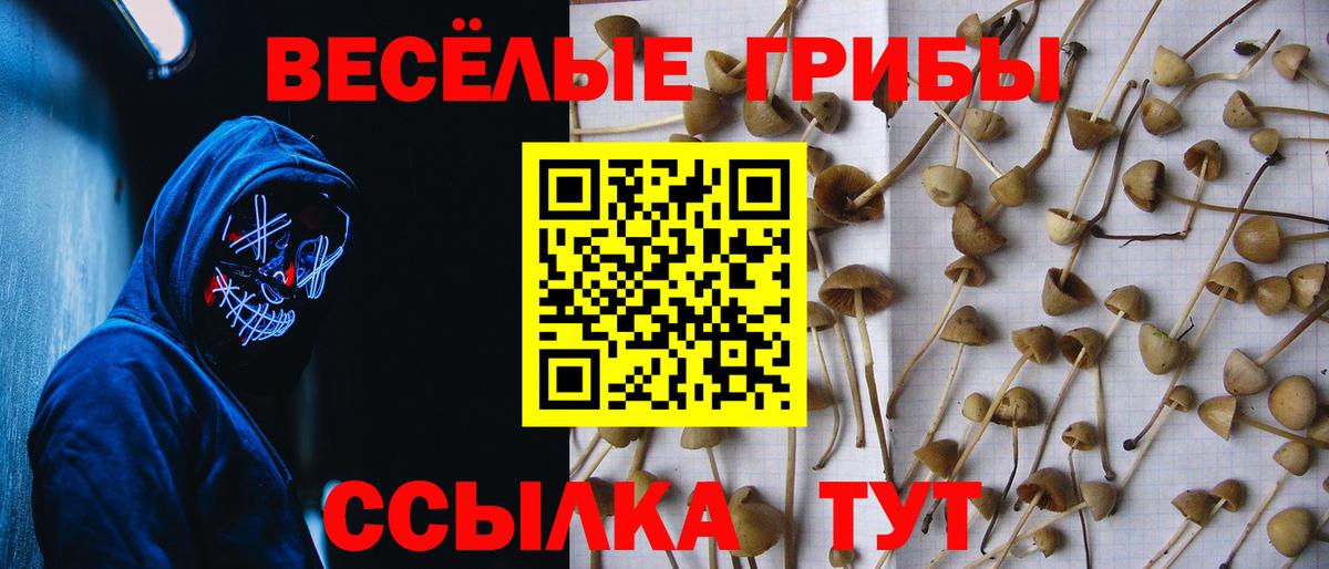 Рыбинск  Галлюциногенные грибы Psilocybe  Вход с VPN 